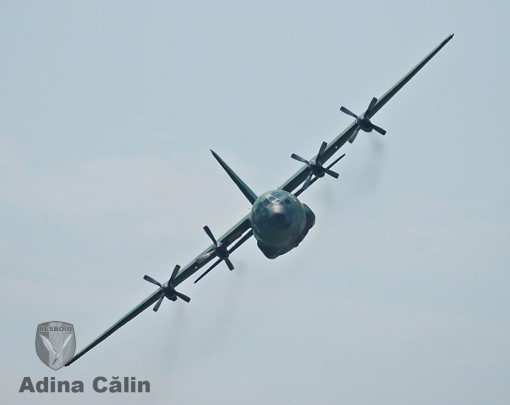 C-130 Hercules (2)