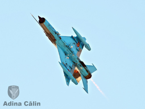 MiG 21 BOBAS (2)