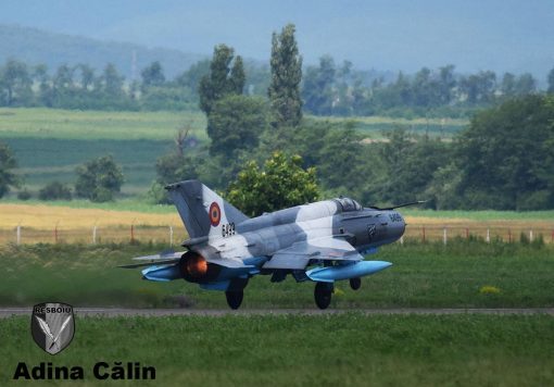 MiG 21 (10)