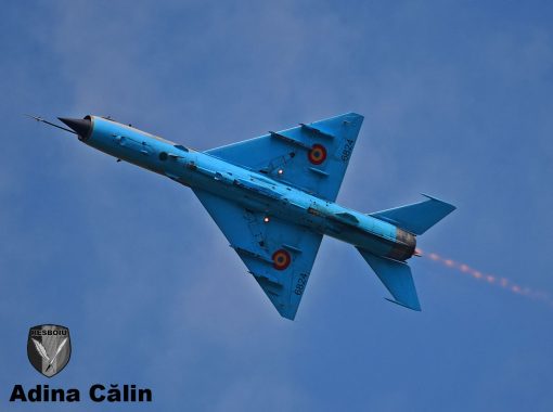 MiG 21 (14)