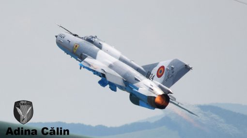 MiG 21 (18)
