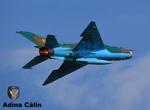 MiG 21 (6)