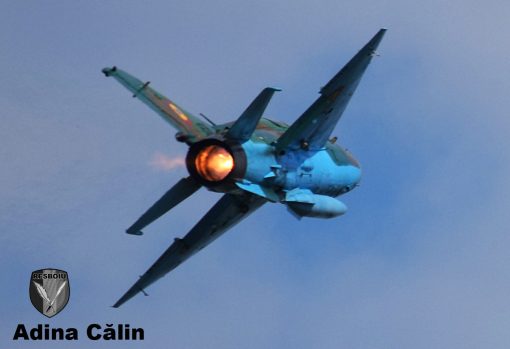 MiG 21 (7)
